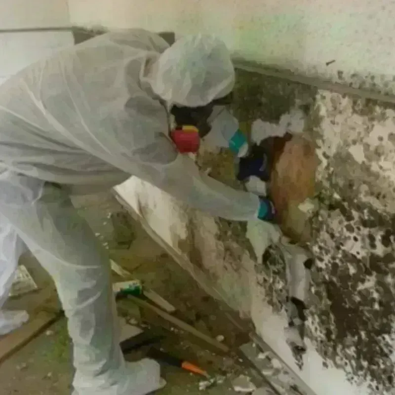 Mold Remediation and Removal in Grimsley, TN